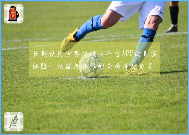 长期使用世界杯投注平台APP的真实体验，功能与操作的全面评测分享
