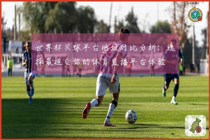 世界杯买球平台地址对比分析：选择最适合你的体育直播平台体验