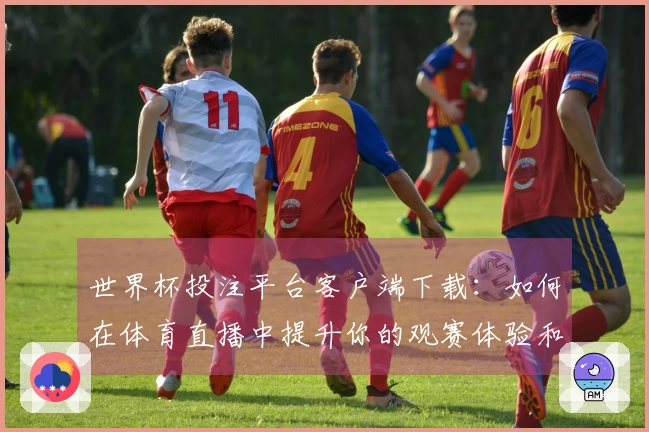 世界杯投注平台客户端下载：如何在体育直播中提升你的观赛体验和互动乐趣