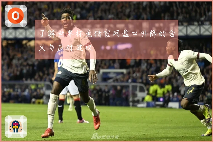 了解世界杯竞猜官网盘口升降的含义与应对建议