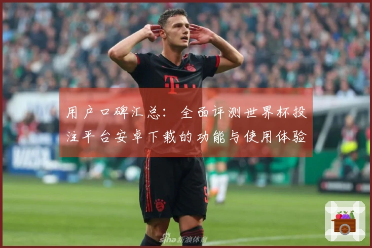 用户口碑汇总：全面评测世界杯投注平台安卓下载的功能与使用体验