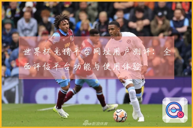 世界杯竞猜平台网址用户测评：全面评估平台功能与使用体验