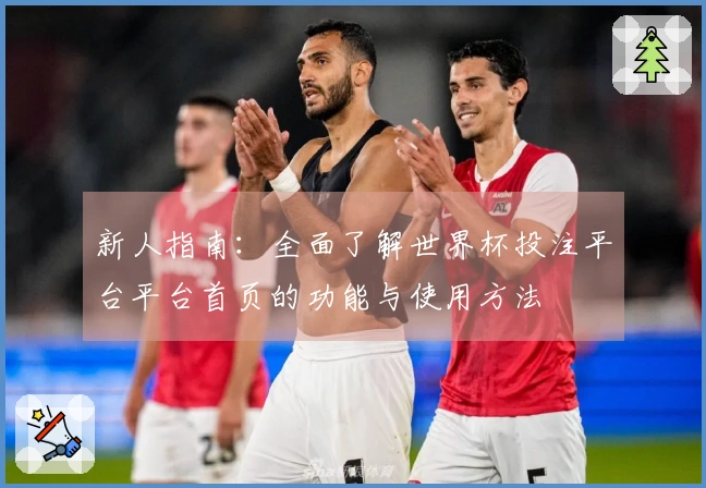 新人指南：全面了解世界杯投注平台平台首页的功能与使用方法