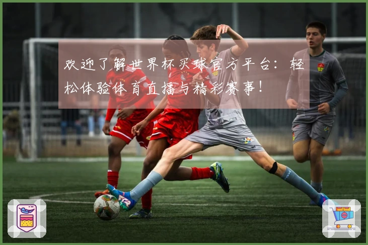 欢迎了解世界杯买球官方平台：轻松体验体育直播与精彩赛事！