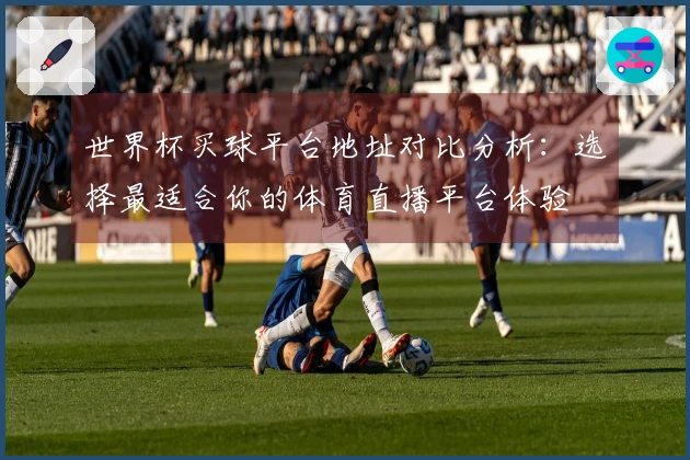 世界杯买球平台地址对比分析：选择最适合你的体育直播平台体验