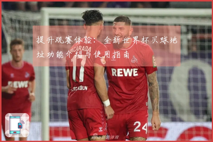 提升观赛体验：全新世界杯买球地址功能介绍与使用指南