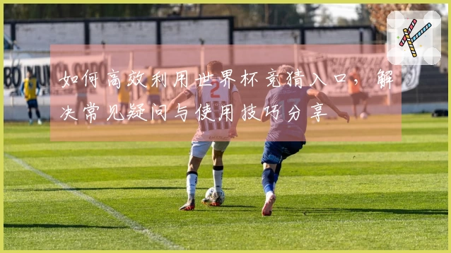 如何高效利用世界杯竞猜入口,解决常见疑问与使用技巧分享