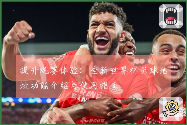 提升观赛体验：全新世界杯买球地址功能介绍与使用指南