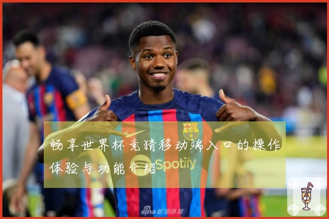 畅享世界杯竞猜移动端入口的操作体验与功能介绍