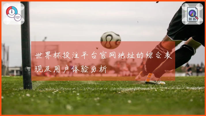 世界杯投注平台官网地址的综合表现及用户体验分析
