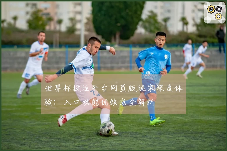 世界杯投注平台网页版玩家深度体验：入口功能优缺点全解析