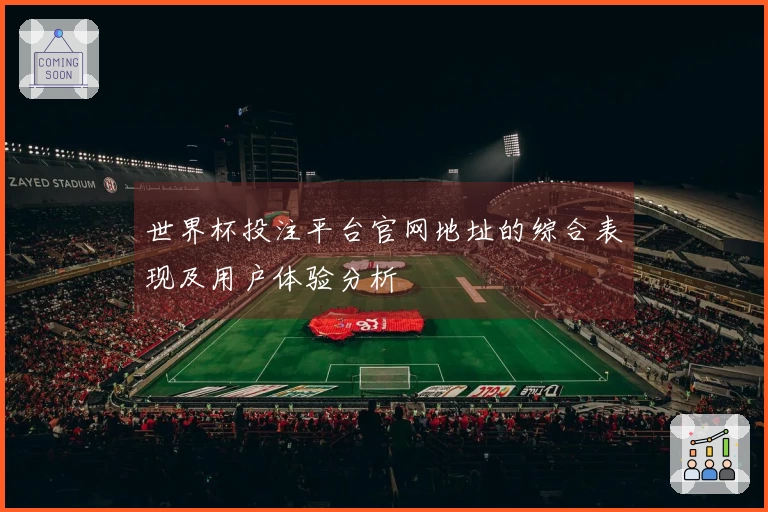 世界杯投注平台官网地址的综合表现及用户体验分析