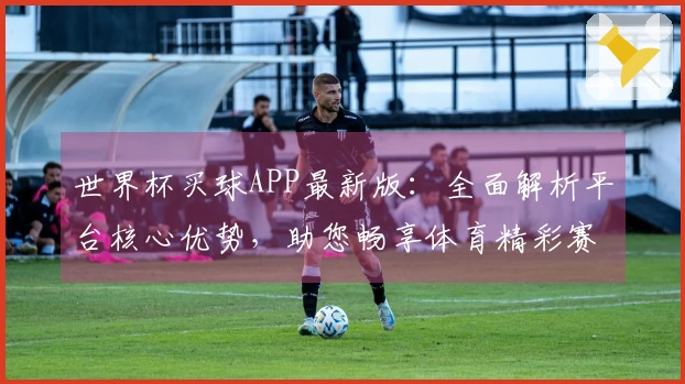 世界杯买球APP最新版：全面解析平台核心优势，助您畅享体育精彩赛事体验