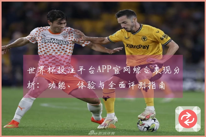 世界杯投注平台APP官网综合表现分析：功能、体验与全面评测指南
