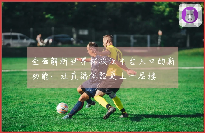 全面解析世界杯投注平台入口的新功能，让直播体验更上一层楼