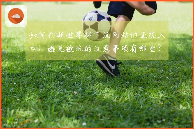 如何判断世界杯下注网站的正规入口，避免被坑的注意事项有哪些？