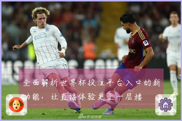 全面解析世界杯投注平台入口的新功能，让直播体验更上一层楼